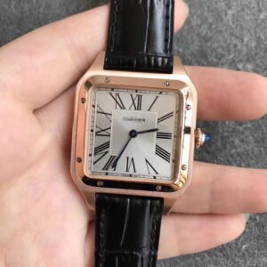 1:1 SUPER REPLICA CARTIER SANTOS WGSA0021 MEN WATCHES BLACK STRAP