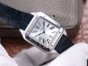 1:1 SUPER REPLICA CARTIER SANTOS DUMONT WSSA0032 F1 FACTORY SILVER DIAL